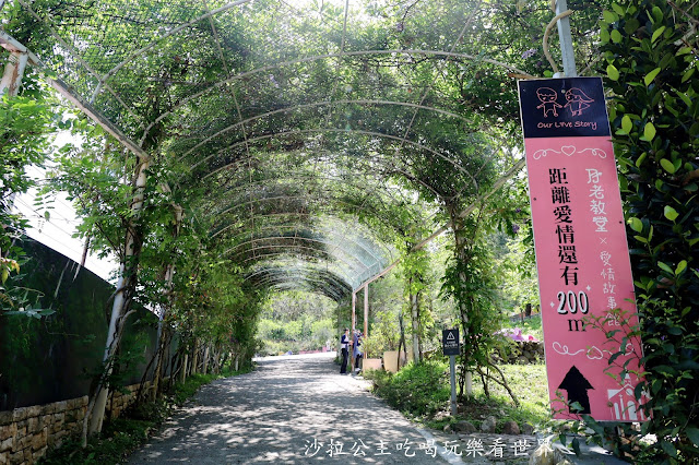 南投埔里免費景點『元首館』大黑松小倆口.歐式城堡建築.超大西洋棋盤