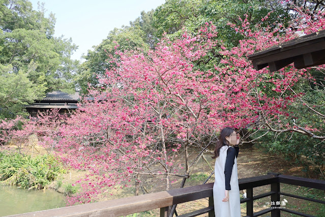 新竹景點『新竹公園』新竹人約會勝地，親子同遊