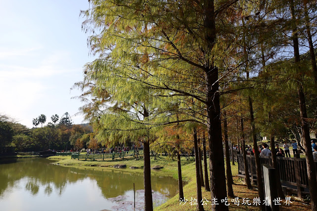 士林景點『原住民文化主題公園』IG打卡熱點/網美必拍/士林落羽松