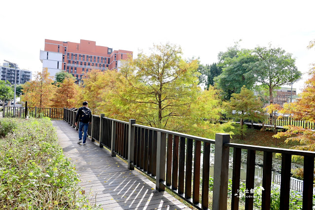 北投奇岩一號公園、落羽松、共融式兒童遊樂場、生態池