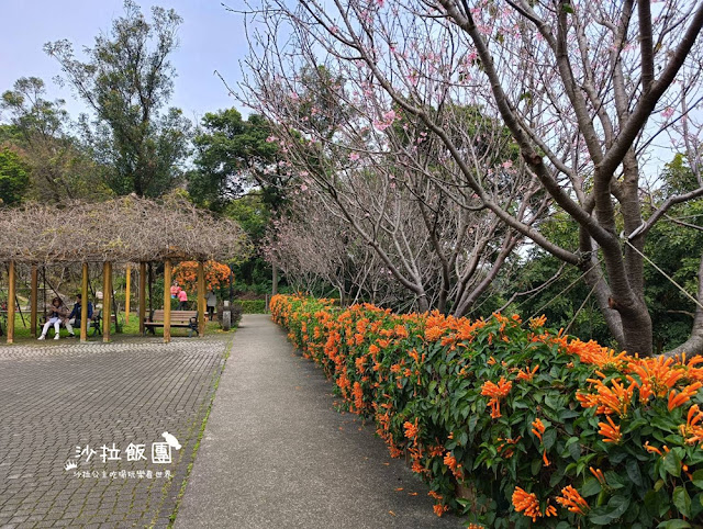 鶯歌景點『鶯歌永吉公園』炮仗花、3D步道、迴旋溜滑梯特色公園