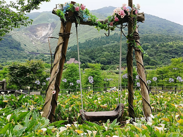 竹子湖繡球花『名陽匍休閒農莊』海芋、繡球花一起賞