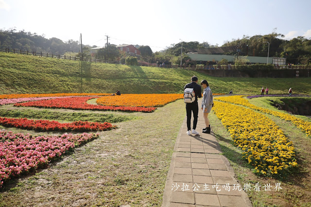 內湖景點『大溝溪親水公園』免費玩水/萬株花海捷運大湖公園站