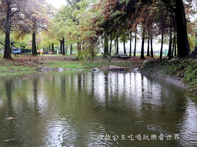 宜蘭羅東落羽松『羅東運動公園』冬季限定/宜蘭羅東景點