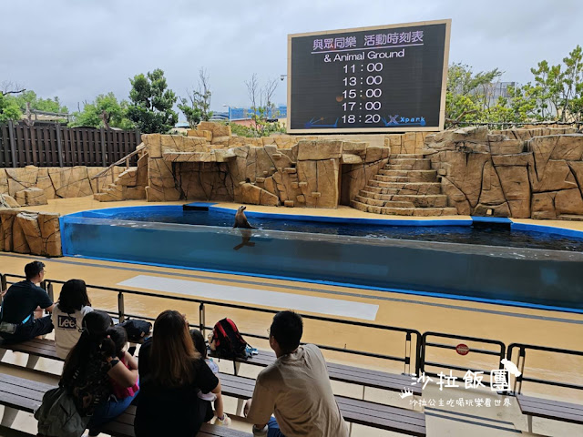 全台最頂級夜宿水族館！桃園和逸Blu Night宿海奇遇》Xpark住一晚