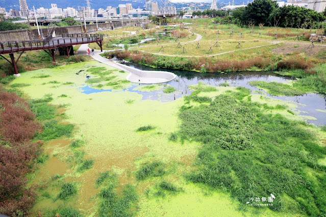 士林最新景點‼️雙溪濕地公園，制高點展望平台