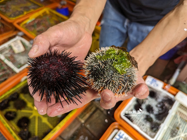 龜吼漁夫市集現剖現吃海膽好鮮甜