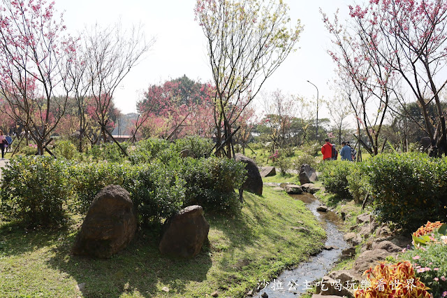 台北景點『陽明公園』陽明山花季/北投景點/櫻花季