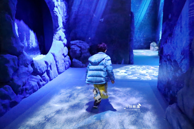 超震撼‼️最強展覽光之影海洋展體驗被海水包圍360°沉浸式光影藝術