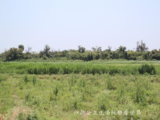 金門必吃美食/唯一在地養殖『良金牧場(貞節牌坊店)』牛肉麵/霜淇淋無限供應/金門必買伴手禮牛肉乾