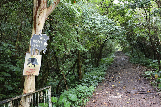 石碇老街、平溪、菁桐老街一日遊，微笑106串聯茶、蜜、農