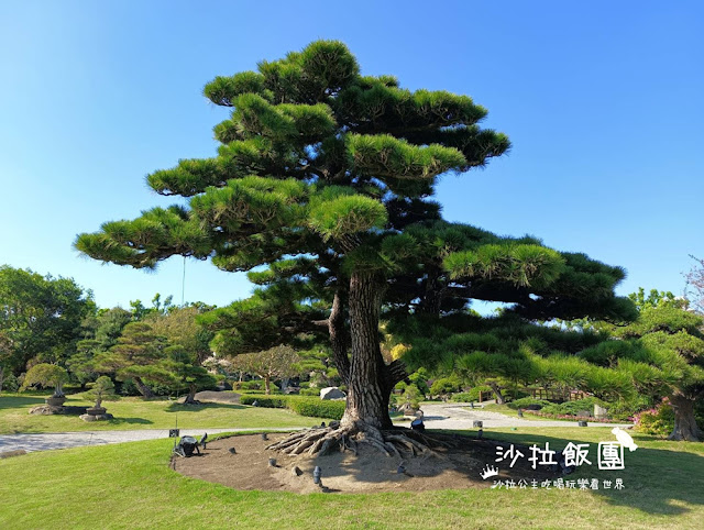 彰化景點『成本文化園區』日式庭園與松柏園