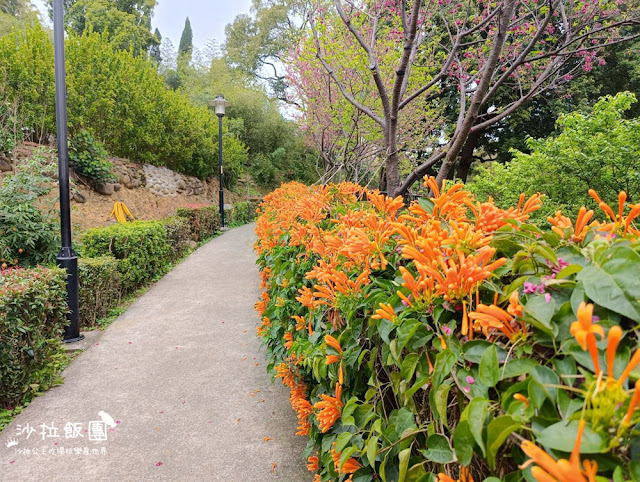 鶯歌景點『鶯歌永吉公園』炮仗花、3D步道、迴旋溜滑梯特色公園