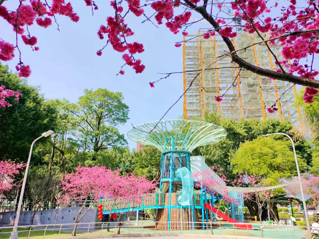 士林特色公園『前港公園』共融遊戲場、天空樹遊戲場溫水游泳池、士林宣原蛋糕專賣店、停車場