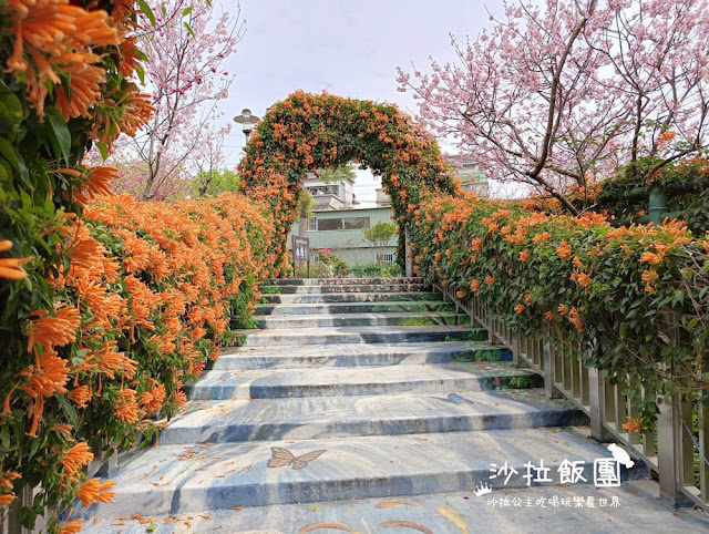 鶯歌景點『鶯歌永吉公園』炮仗花、3D步道、迴旋溜滑梯特色公園