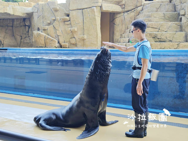 全台最頂級夜宿水族館！桃園和逸Blu Night宿海奇遇》Xpark住一晚