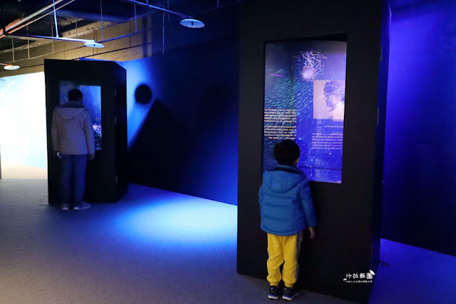 超震撼‼️最強展覽光之影海洋展體驗被海水包圍360°沉浸式光影藝術