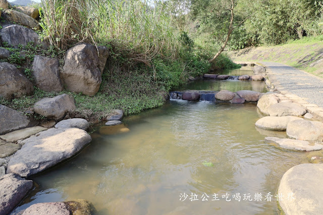 內湖景點『大溝溪親水公園』免費玩水/萬株花海捷運大湖公園站