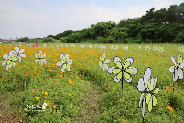 免費入場【2021愛戀關渡花現幸福】5公頃大片花海，北投景點