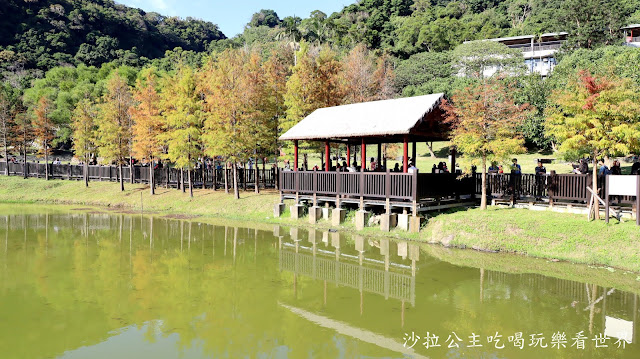 士林景點『原住民文化主題公園』IG打卡熱點/網美必拍/士林落羽松