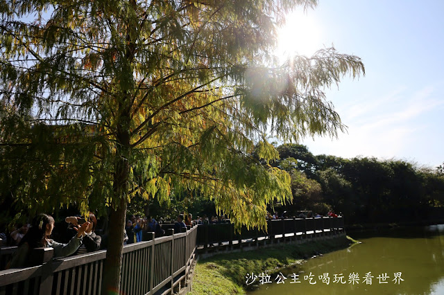 士林景點『原住民文化主題公園』IG打卡熱點/網美必拍/士林落羽松