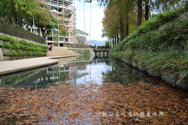 士林景點/台北人不用跑遠『士林官邸落羽松』.梅花.落羽松一起看