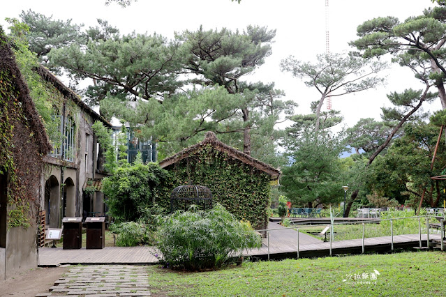 花蓮景點『松園別館』、免費景點『臥松園區』百年松林