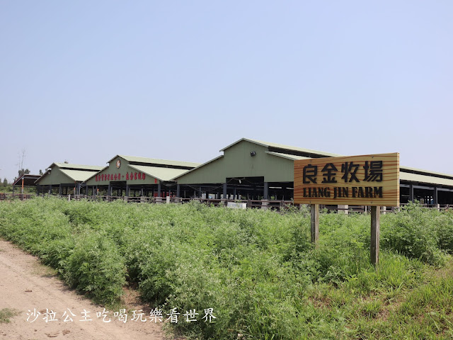 金門必吃美食/唯一在地養殖『良金牧場(貞節牌坊店)』牛肉麵/霜淇淋無限供應/金門必買伴手禮牛肉乾