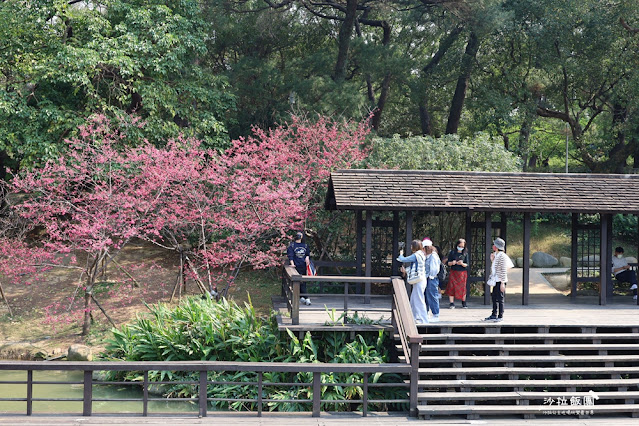 新竹景點『新竹公園』新竹人約會勝地，親子同遊